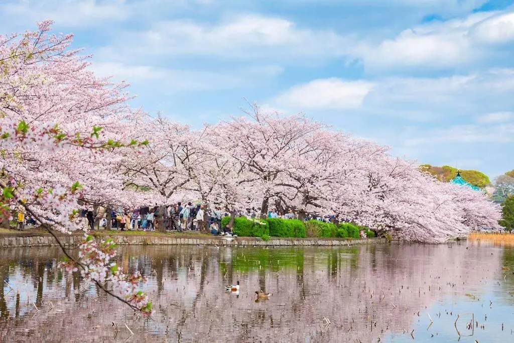 ゲストルーム上野桜木 Apartment Tokyo 0*,  Japan
